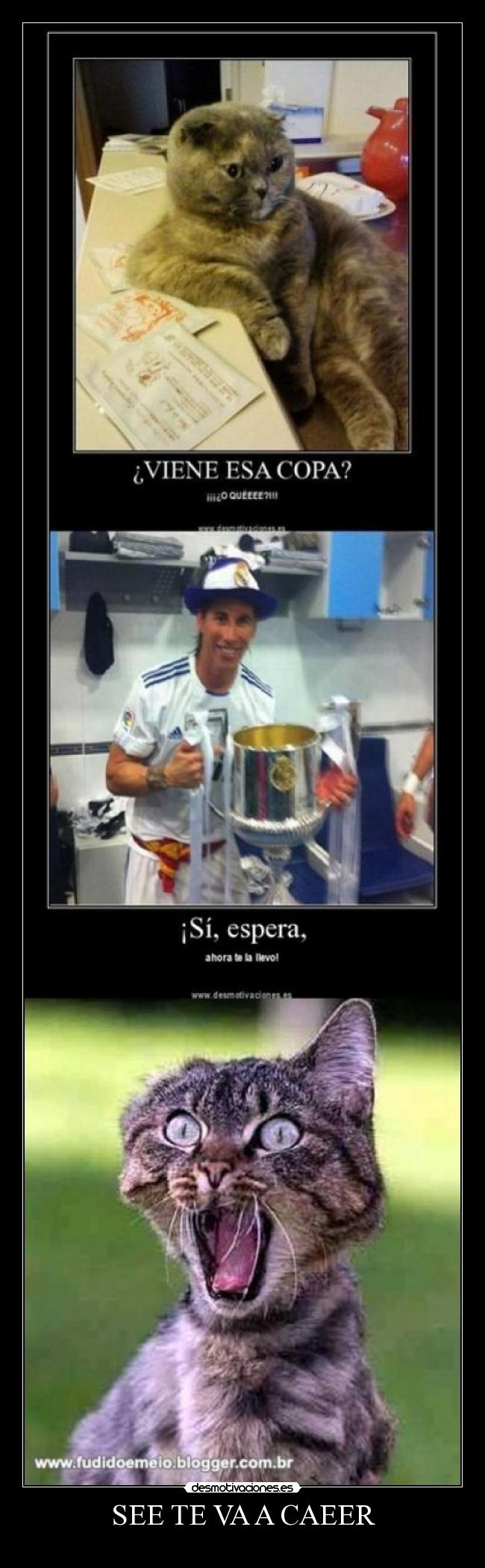 carteles geg desmotivaciones