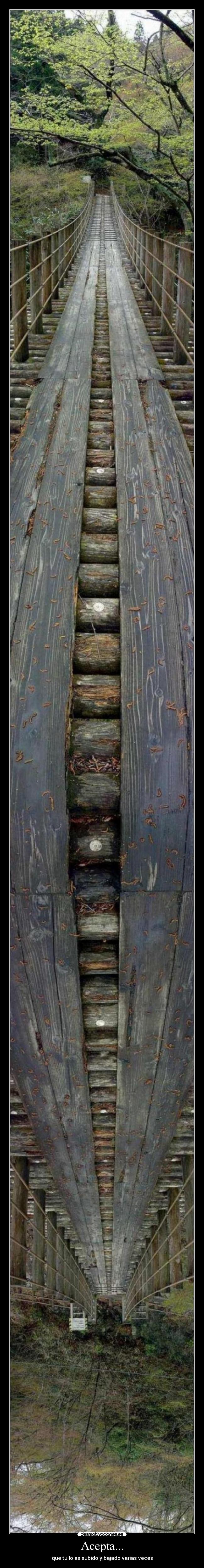 Acepta... - que tu lo as subido y bajado varias veces