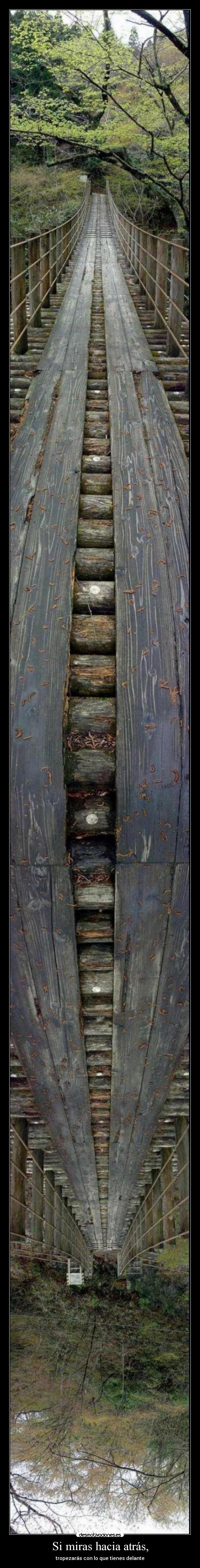 Si miras hacia atrás, - tropezarás con lo que tienes delante