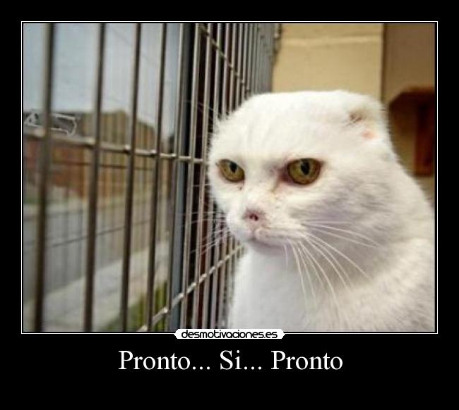Pronto... Si... Pronto -