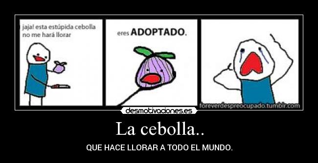 La cebolla.. - QUE HACE LLORAR A TODO EL MUNDO.