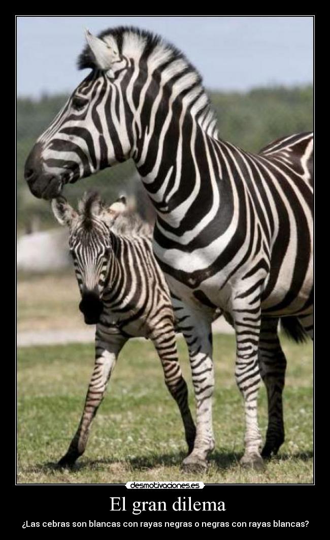 carteles super gran dilema desmotivaciones