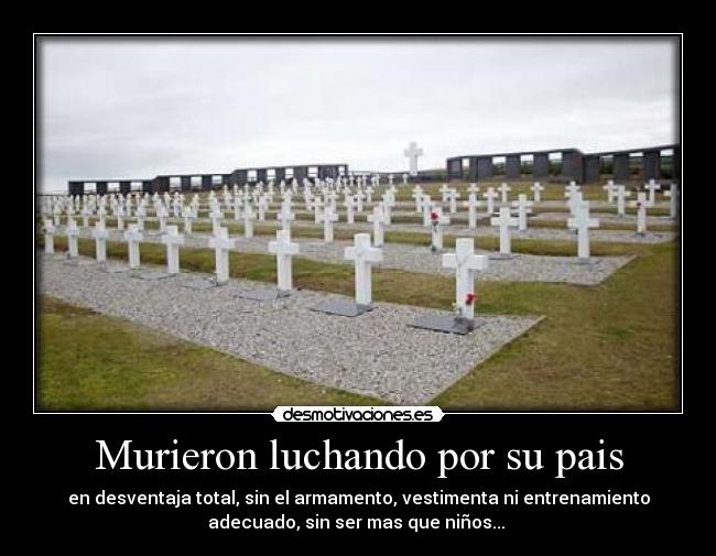 Murieron luchando por su pais - 