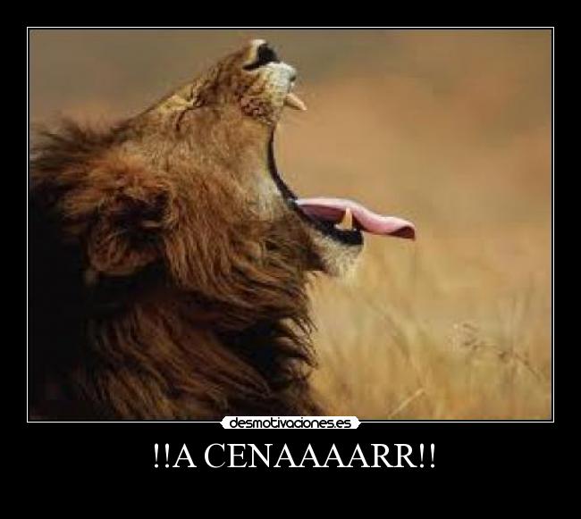 !!A CENAAAARR!! - 