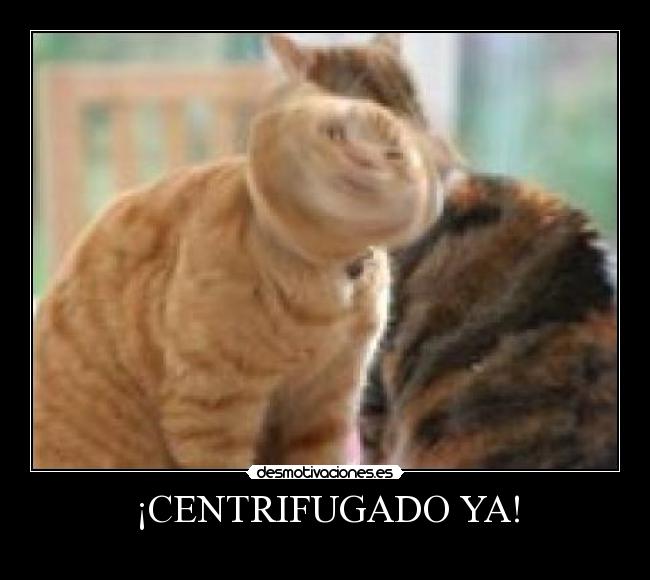 ¡CENTRIFUGADO YA! - 