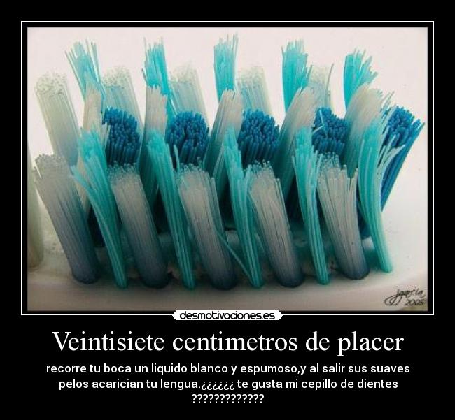 Veintisiete centimetros de placer -