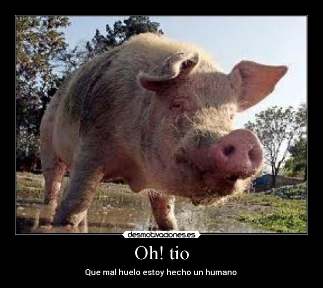 carteles lol desmotivaciones