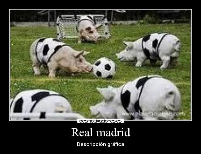 Real madrid - Descripción gráfica