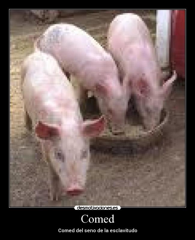 Comed - Comed del seno de la esclavitudo