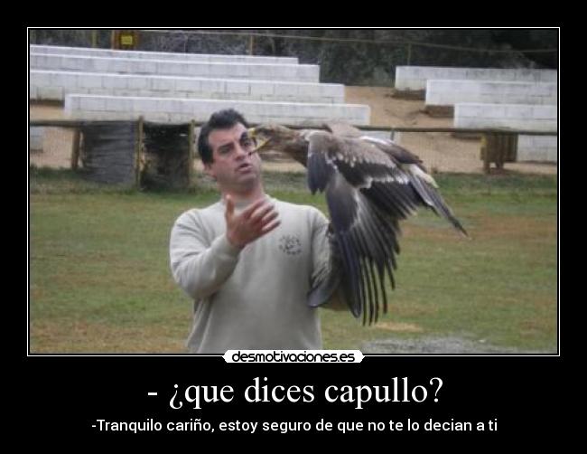 - ¿que dices capullo? - -Tranquilo cariño, estoy seguro de que no te lo decian a ti