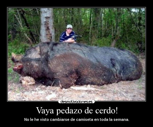 Vaya pedazo de cerdo! - 