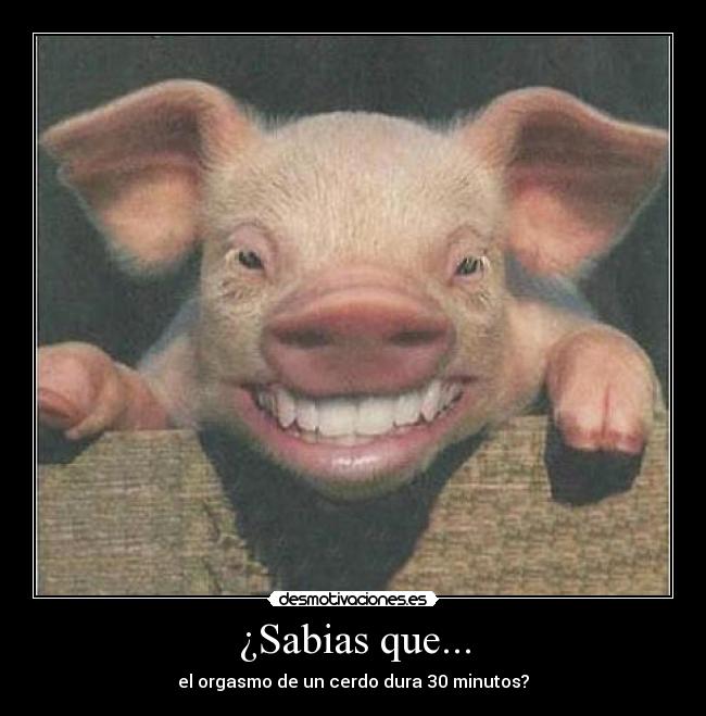 ¿Sabias que... - 