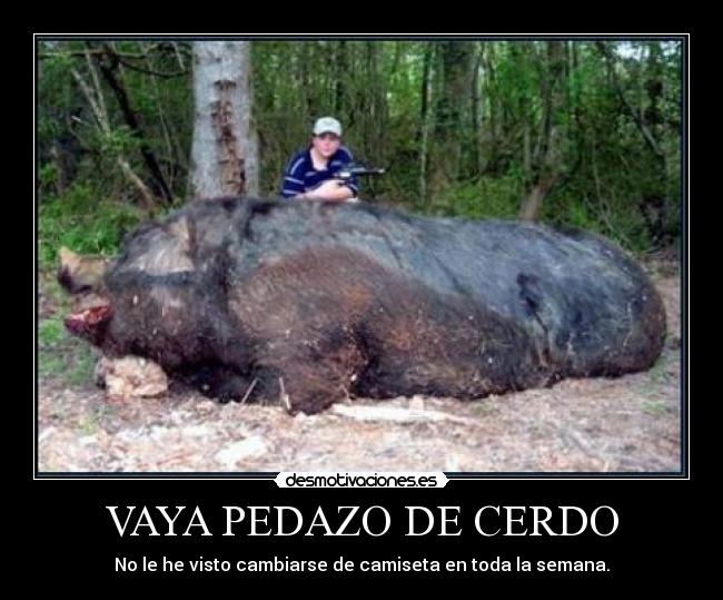 VAYA PEDAZO DE CERDO - No le he visto cambiarse de camiseta en toda la semana.
