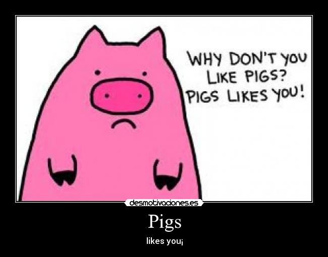 Pigs -