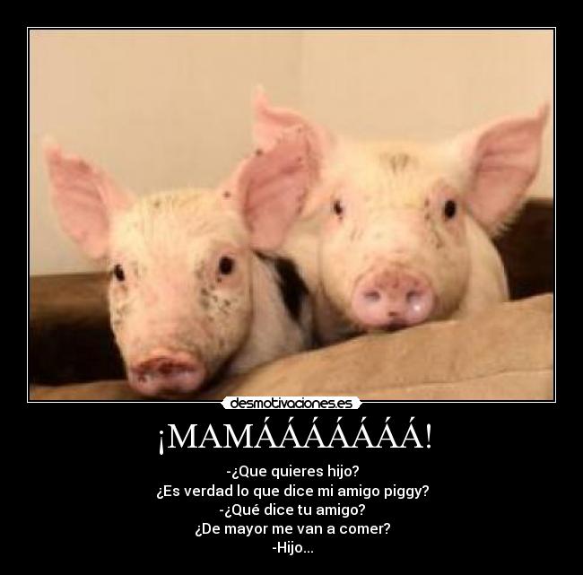 ¡MAMÁÁÁÁÁÁÁ! - -¿Que quieres hijo?
¿Es verdad lo que dice mi amigo piggy?
-¿Qué dice tu amigo?
¿De mayor me van a comer?
-Hijo...