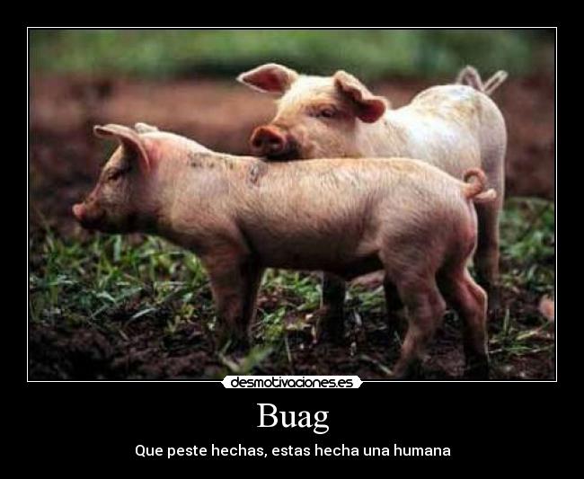 Buag - Que peste hechas, estas hecha una humana