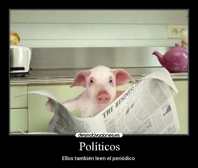 Políticos - 