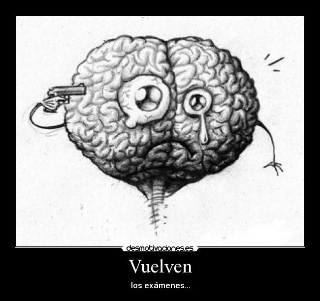 Vuelven - los exámenes...