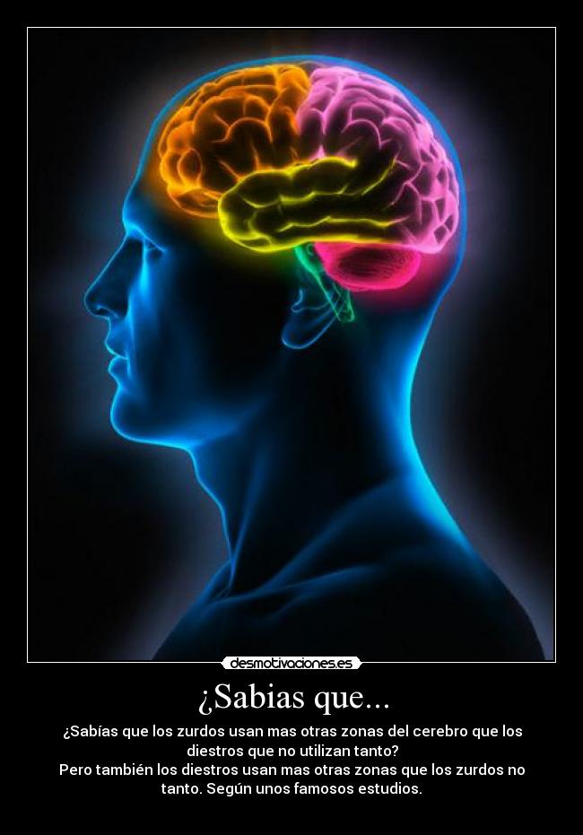 ¿Sabias que... - ¿Sabías que los zurdos usan mas otras zonas del cerebro que los
diestros que no utilizan tanto?
Pero también los diestros usan mas otras zonas que los zurdos no
tanto. Según unos famosos estudios.
