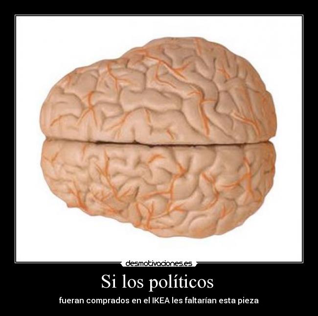 Si los políticos  - 