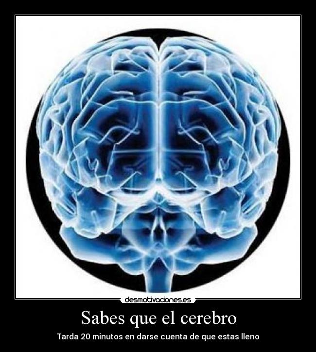 Sabes que el cerebro -