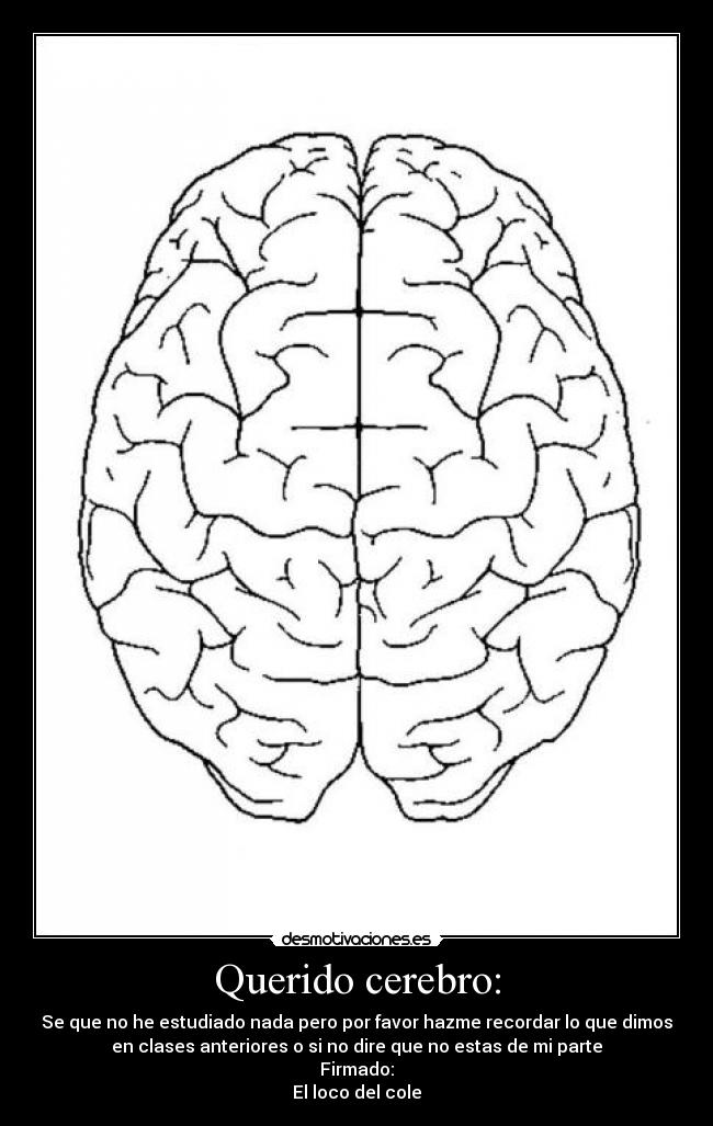 Querido cerebro: - Se que no he estudiado nada pero por favor hazme recordar lo que dimos
en clases anteriores o si no dire que no estas de mi parte
Firmado:
El loco del cole