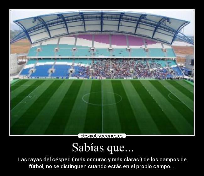 Sabías que... - Las rayas del césped ( más oscuras y más claras ) de los campos de
fútbol, no se distinguen cuando estás en el propio campo...
