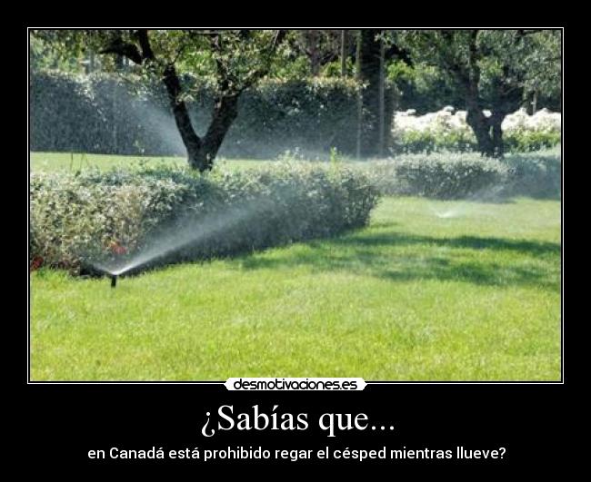 ¿Sabías que... - en Canadá está prohibido regar el césped mientras llueve?