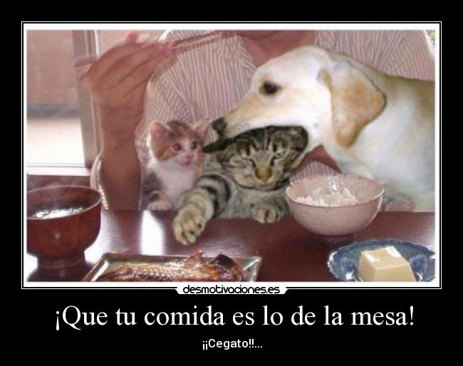 ¡Que tu comida es lo de la mesa! -