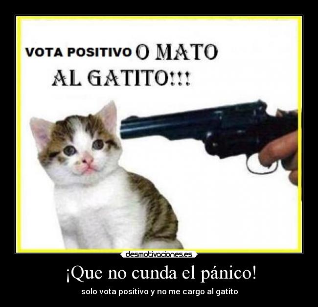 ¡Que no cunda el pánico! - solo vota positivo y no me cargo al gatito