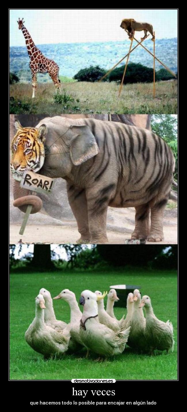 hay veces - que hacemos todo lo posible para encajar en algún lado