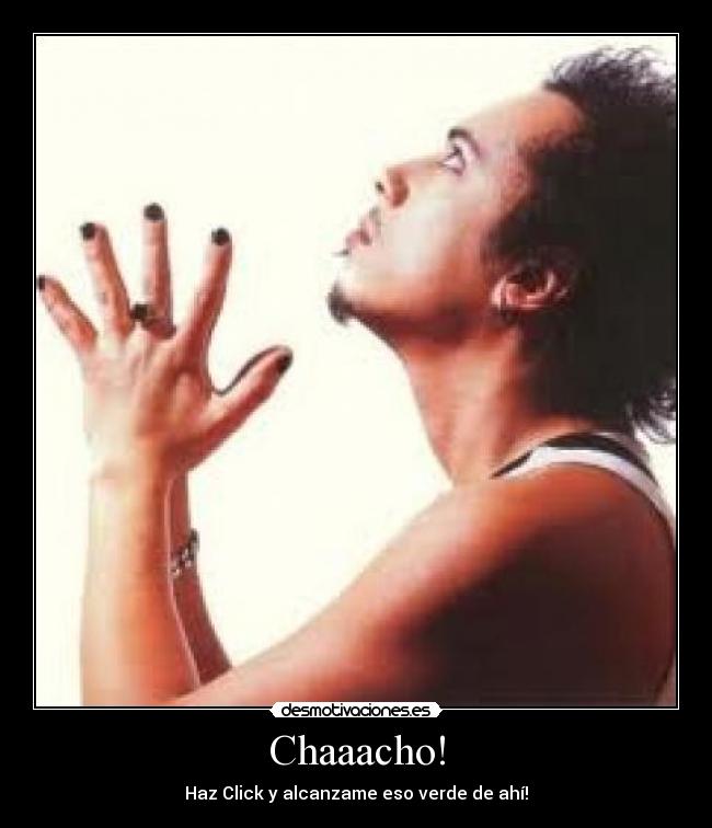 Chaaacho! - 