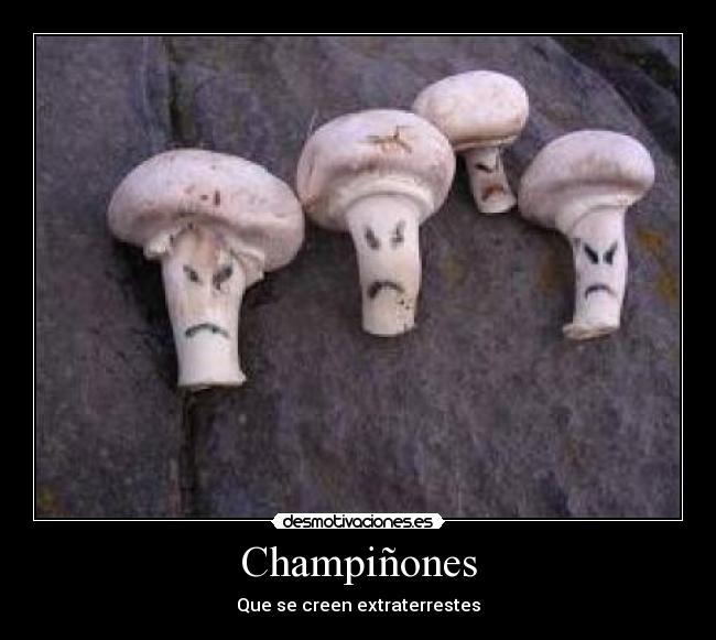 Champiñones - Que se creen extraterrestes