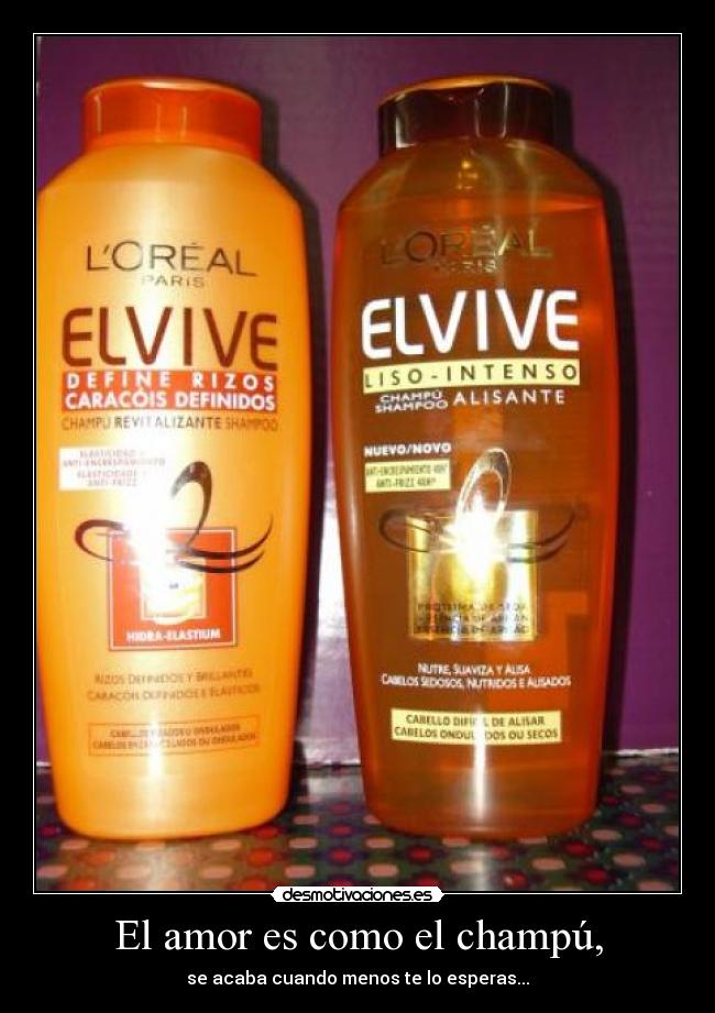 El amor es como el champú, -