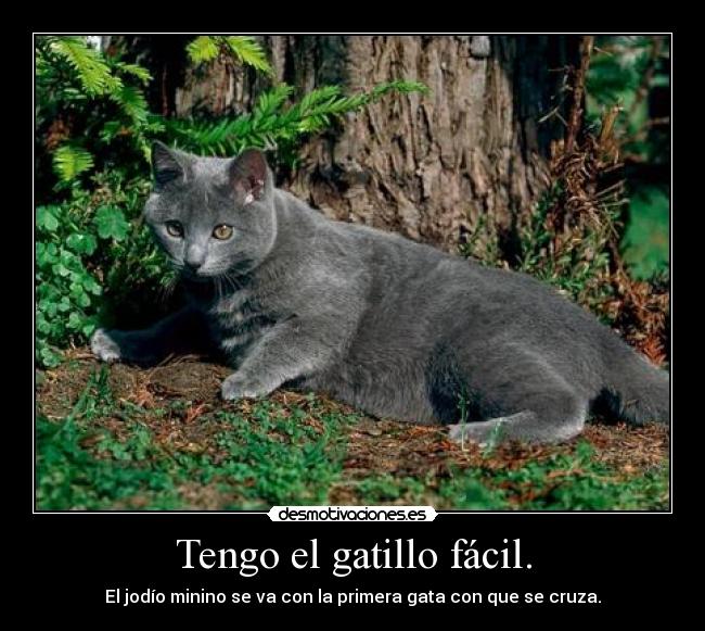 carteles tengo gatillo facil desmotivaciones