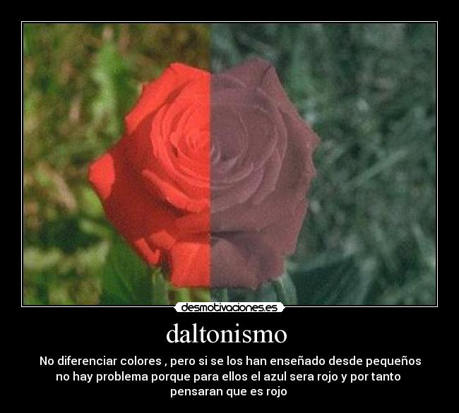 daltonismo  - No diferenciar colores , pero si se los han enseñado desde pequeños
no hay problema porque para ellos el azul sera rojo y por tanto 
pensaran que es rojo 