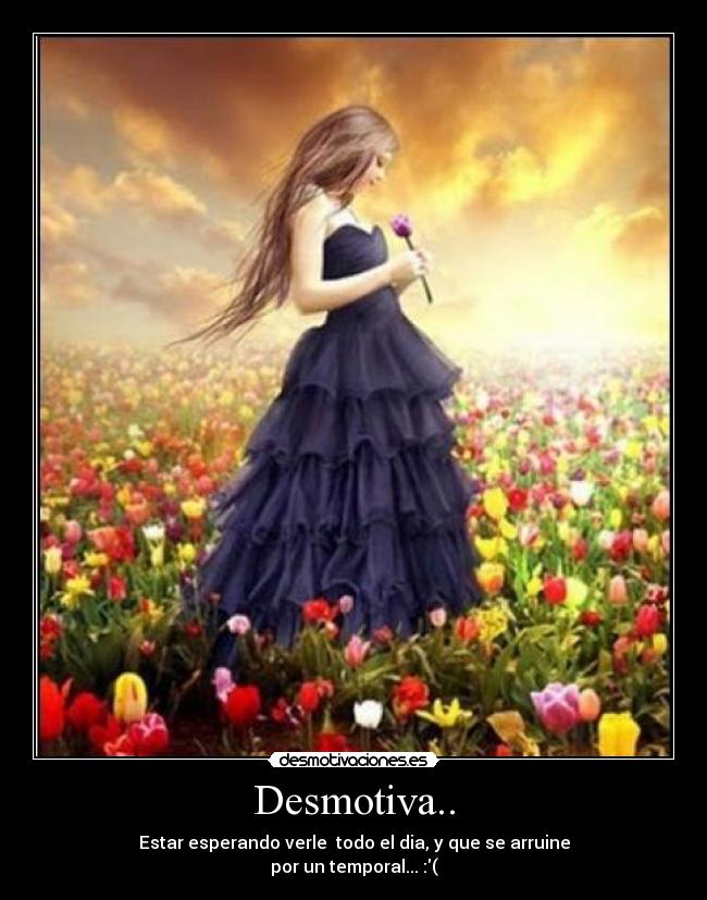 carteles aruus desmotivaciones