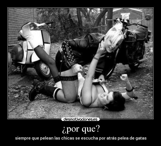 ¿por que? - siempre que pelean las chicas se escucha por atrás pelea de gatas