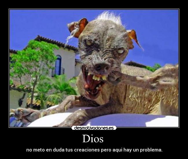 Dios - no meto en duda tus creaciones pero aqui hay un problema.