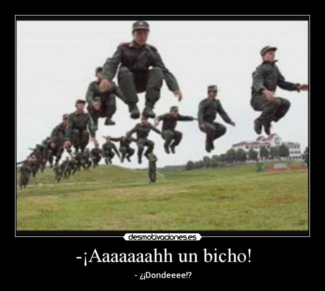 -¡Aaaaaaahh un bicho! -