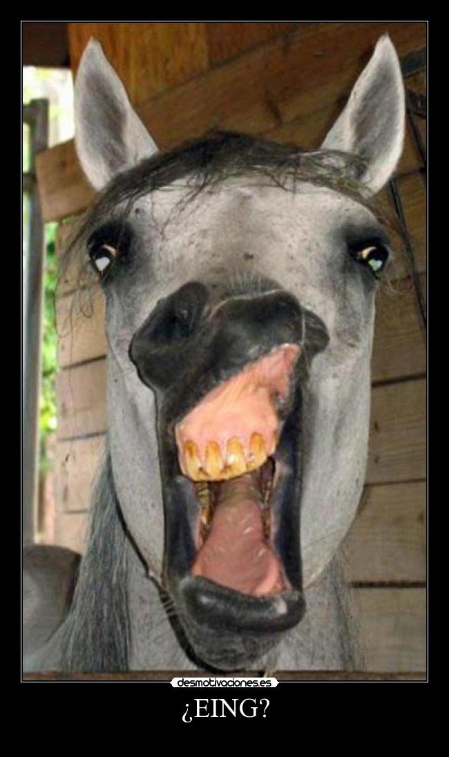 ¿EING? -