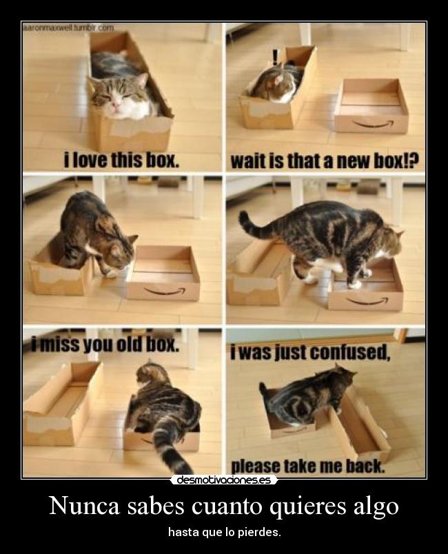 Nunca sabes cuanto quieres algo -