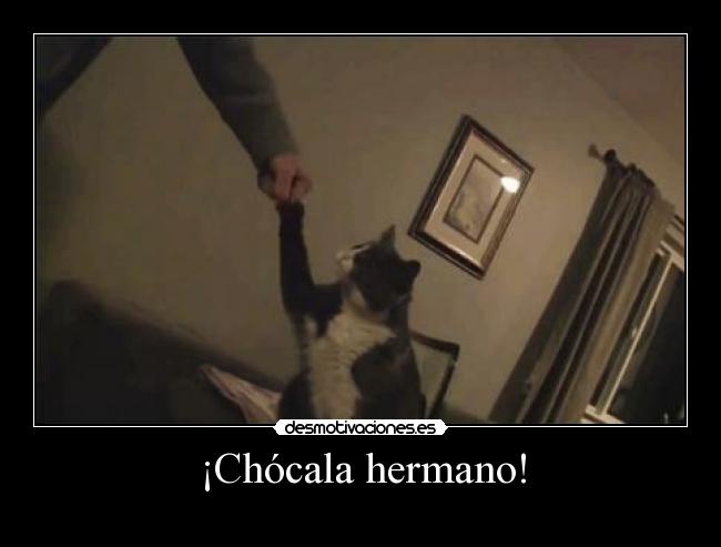 ¡Chócala hermano! - 