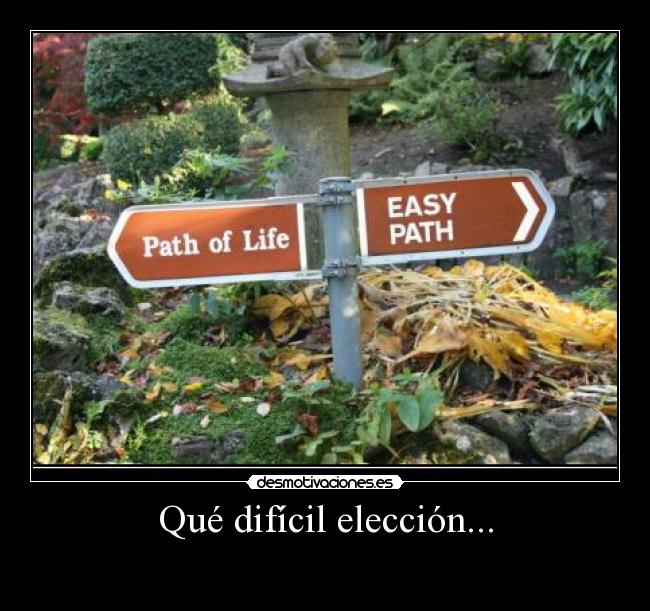 carteles vida camino eleccion desmotivaciones