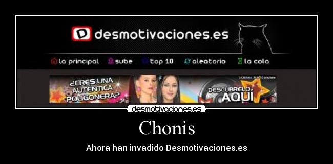 carteles chonis desmotivaciones