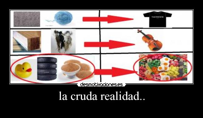 la cruda realidad.. -       