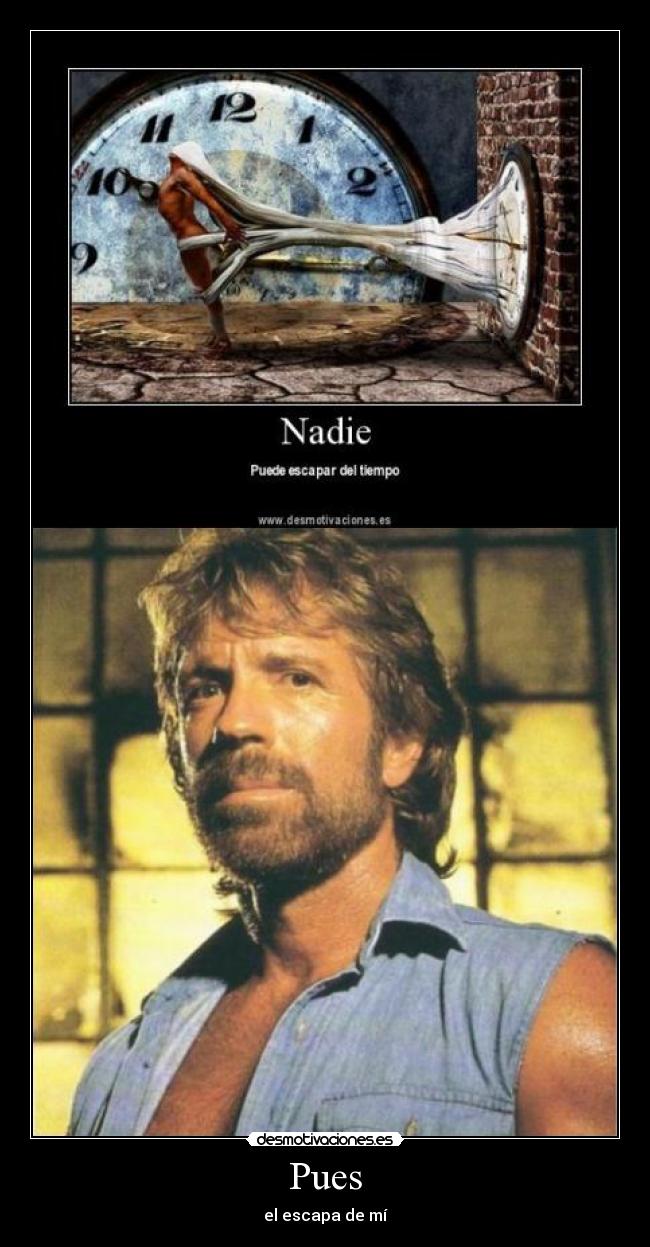 carteles chuck norris tiempo desmotivaciones