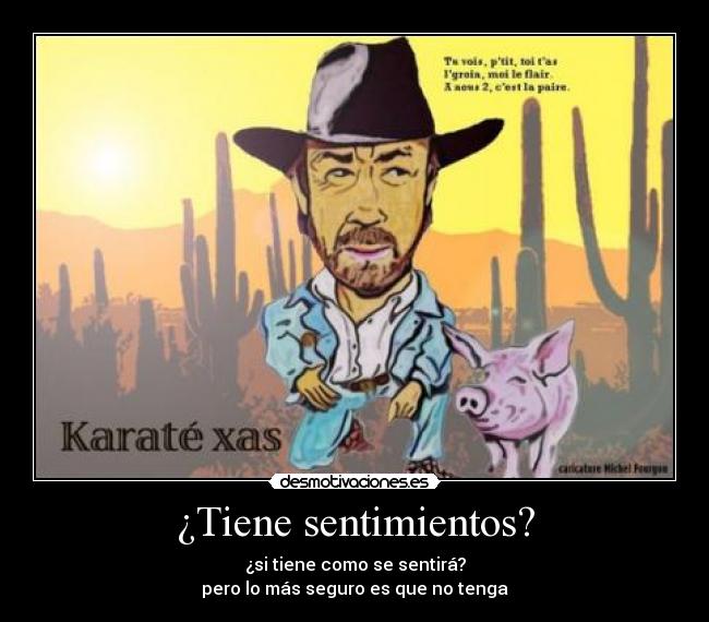 carteles sentimientos chuck norris desmotivaciones