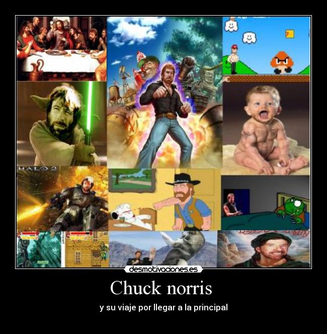 Chuck norris  - 