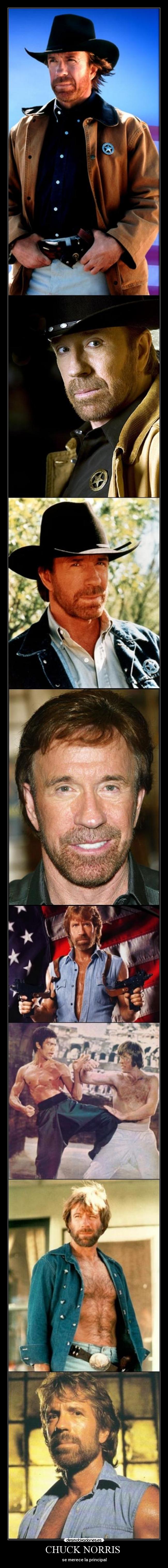 CHUCK NORRIS  - 